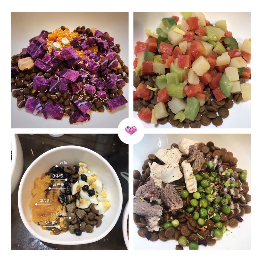 英牛怀孕成功率,英牛孕期多少天