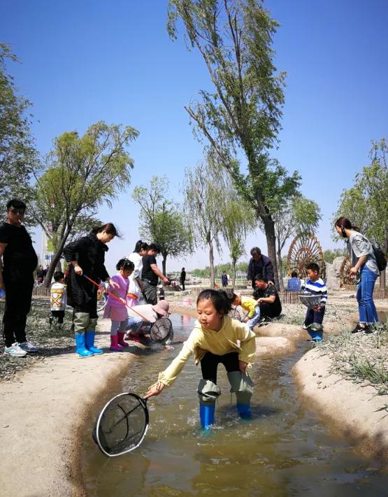 你是否见过鱼儿逆流而上?这里的“渔文化”妙趣横生