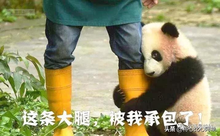 广东省十大战略性新兴产业,广东最具有投资潜力12个县