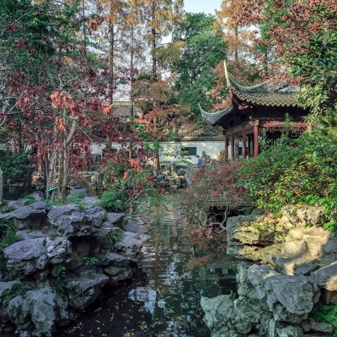 中国园林第一人，每个中国人都该谢谢他