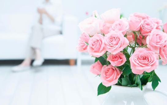 家具保养小知识大全,家具保养常识有哪些