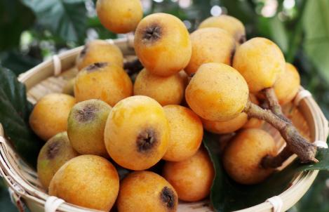 夏天吃什么水果解暑又解馋,炎热夏天吃哪些水果好吃