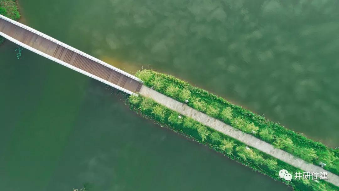 井研最新事件,井研县昨天发生的事