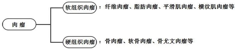恶性肿瘤不是慢性病吗,癌就是恶性肉瘤吗