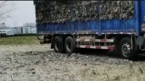 鸡毛可以回收吗,废品回收鸡毛