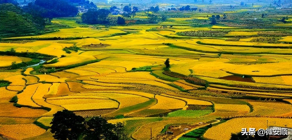 贵州安顺发展政策,贵阳安顺一体化发展