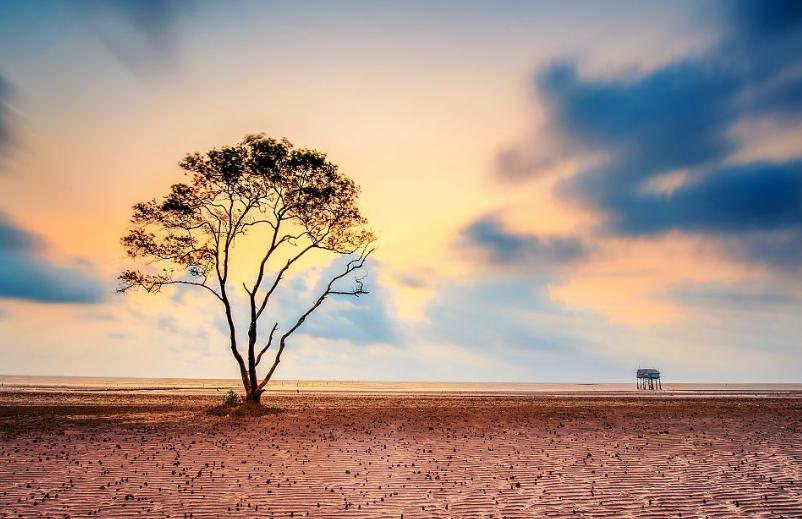 12星座被爱的人伤的有多深,十二星座男如何修复感情