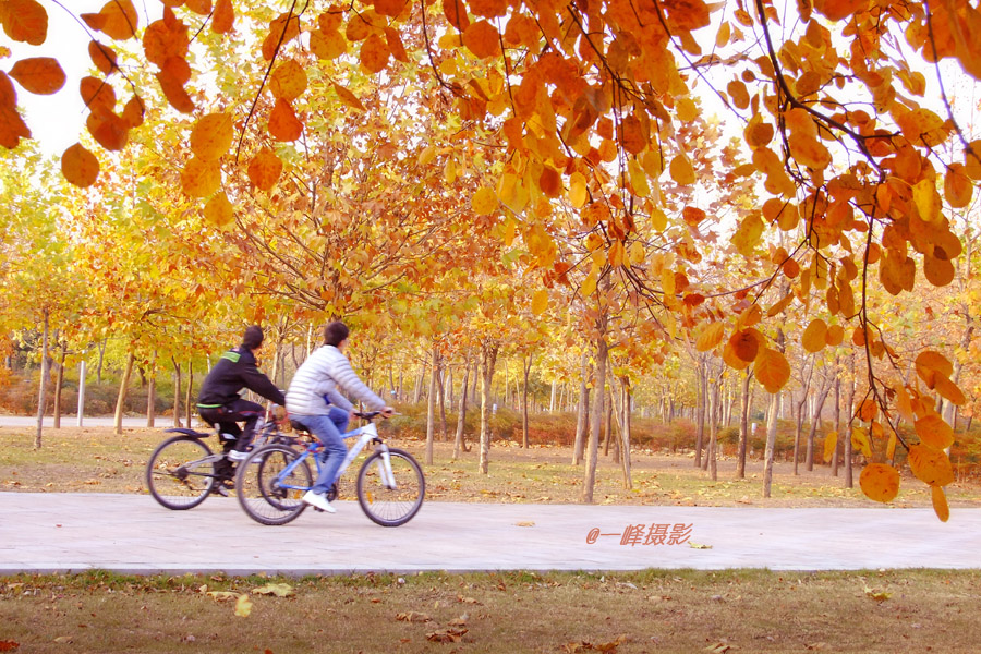 变焦拍摄的方法和技巧视频,变焦拍摄教程