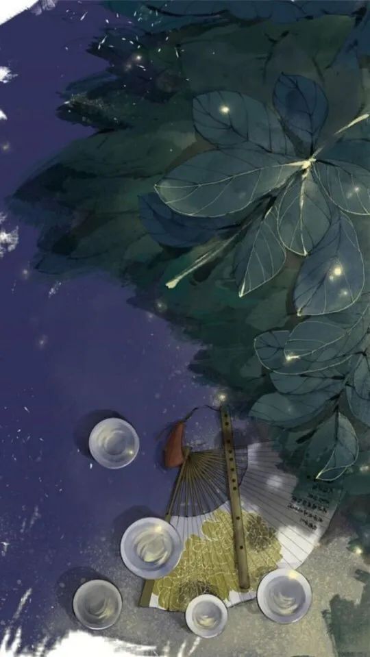 枫露茶的正确喝法,枫露茶到底是谁