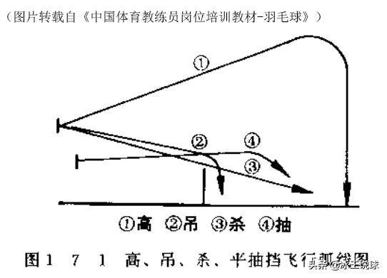让羽毛球在空中飞舞,让羽毛球发光