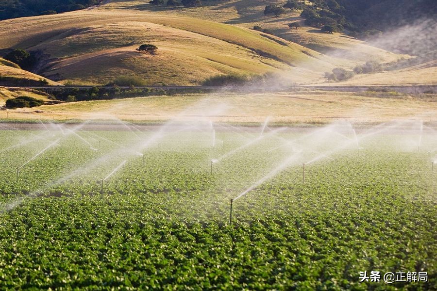 1斤樱桃只要七八块，60岁还在还助学*款贷**，美国人的收割和被收割