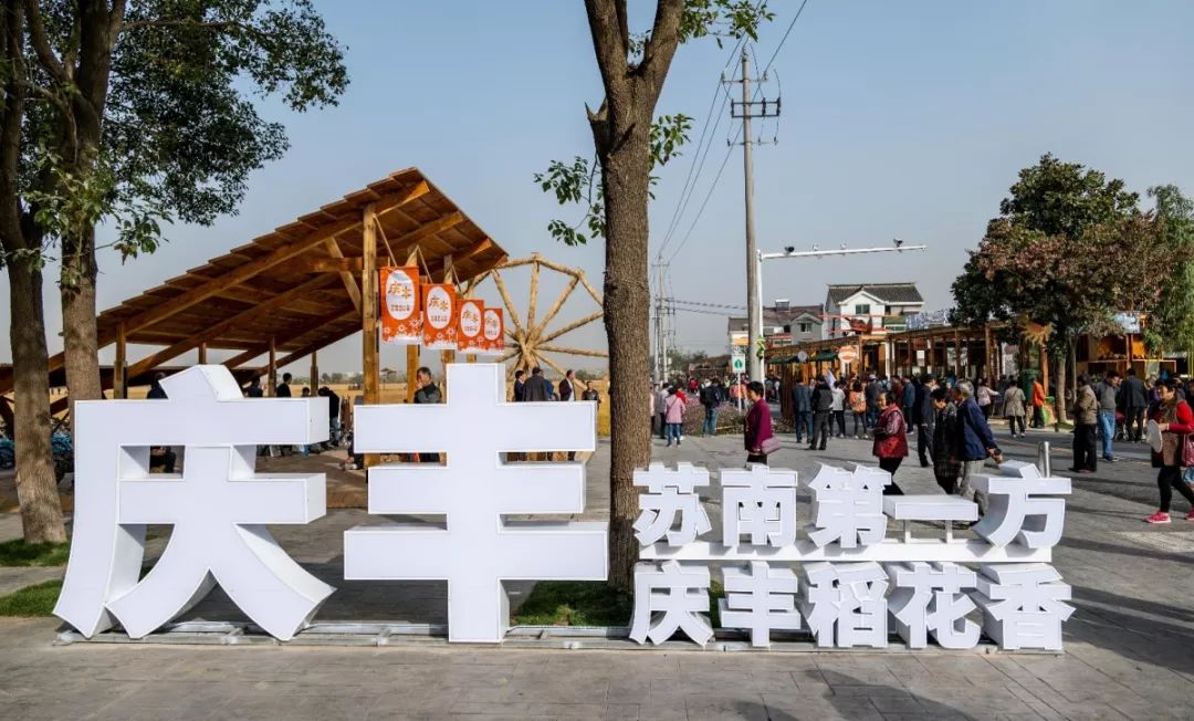 溧阳庆丰村怎么突然火了起来,答案或许就在这里