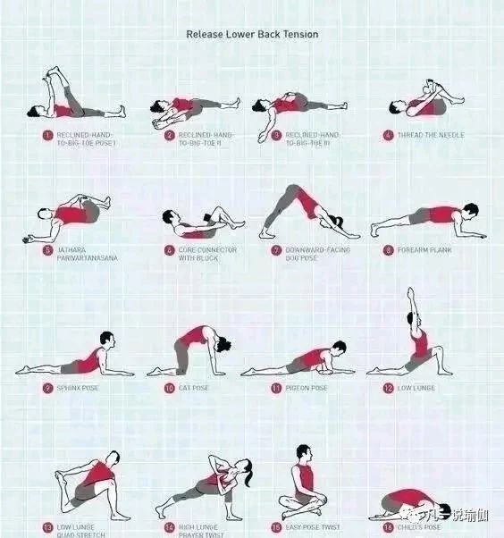瑜伽蹲序列排课,自己不会制定健身课程
