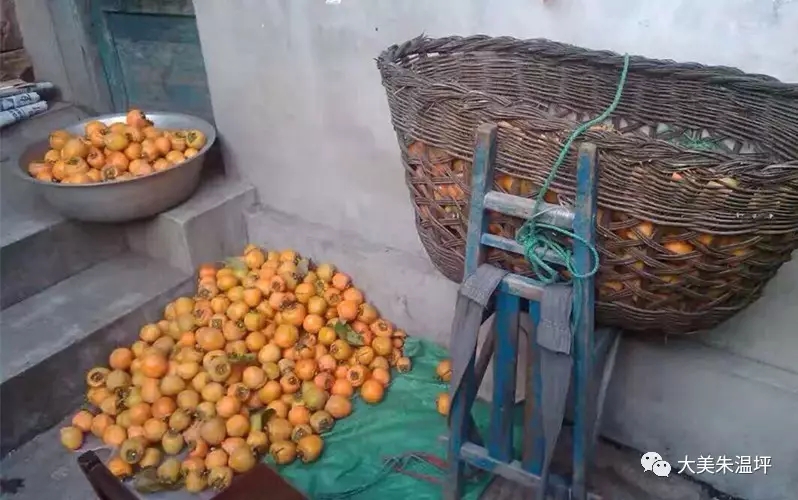 邢西山村记忆：山里人的柴架子，能用来做些啥？