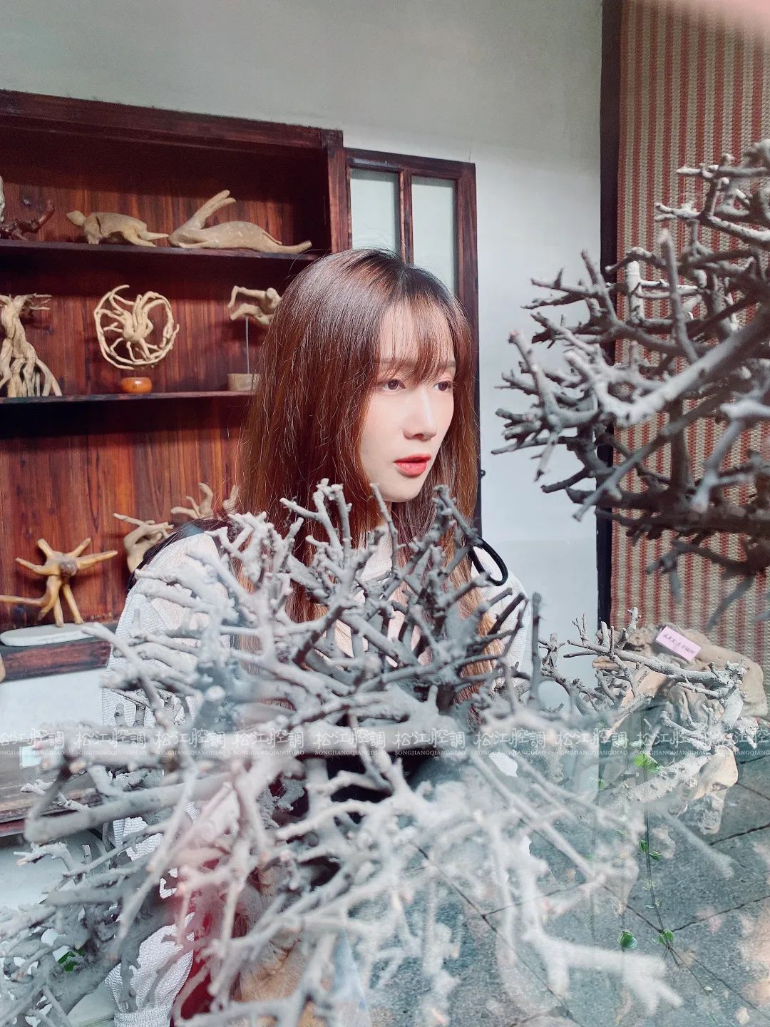 松江佘山辰山植物园一日游攻略,松江方塔园哪好玩