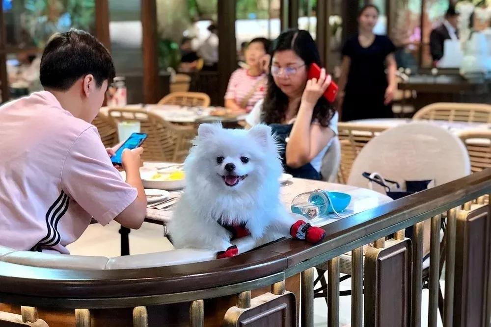 商业街景观还能怎么造？这家曼谷购物中心厉害了