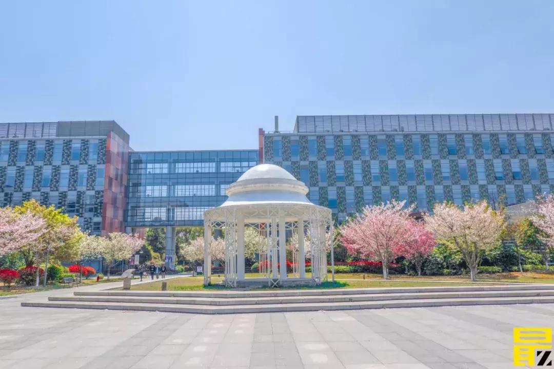 西交利物浦苏州校区,苏州西交利物浦美女