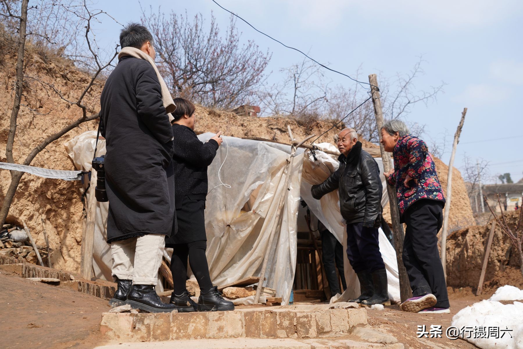 山西8旬大爷把母猪当宠物养，1窝小猪卖14600元，无本生意