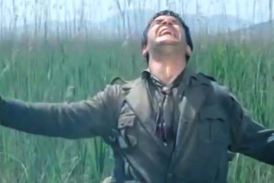 老电影桥全集,老电影桥看完整版