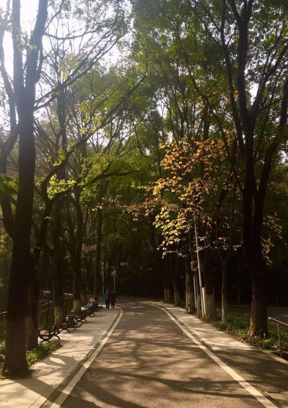 最能让人心静的旅游景点,国内能让人心静的地方