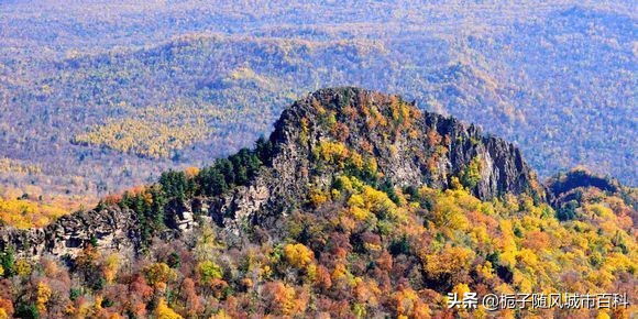 哈尔滨市下辖多少个县,黑龙江省哈尔滨市辖区