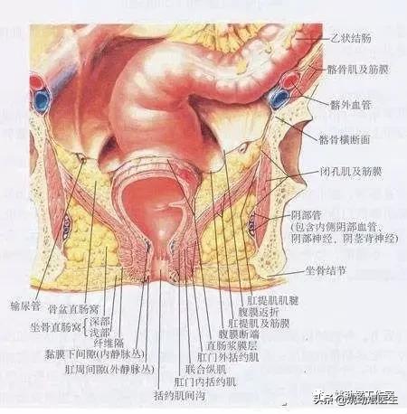 直肠测压,肛门直肠测压治疗
