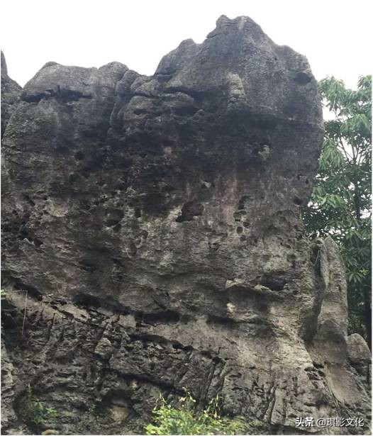 张家界慈利新项目,张家界慈利江垭的新项目