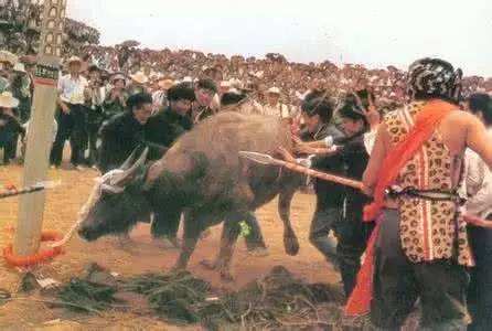 小鲜肉,到底是什么肉?一顿牛肉扭转一场战争?趣解历史笑谈故事