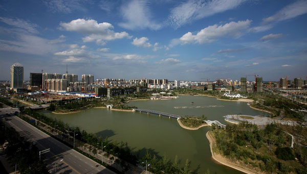 蒙城特产五洲牛肉,蒙城五洲牛肉干是真的吗