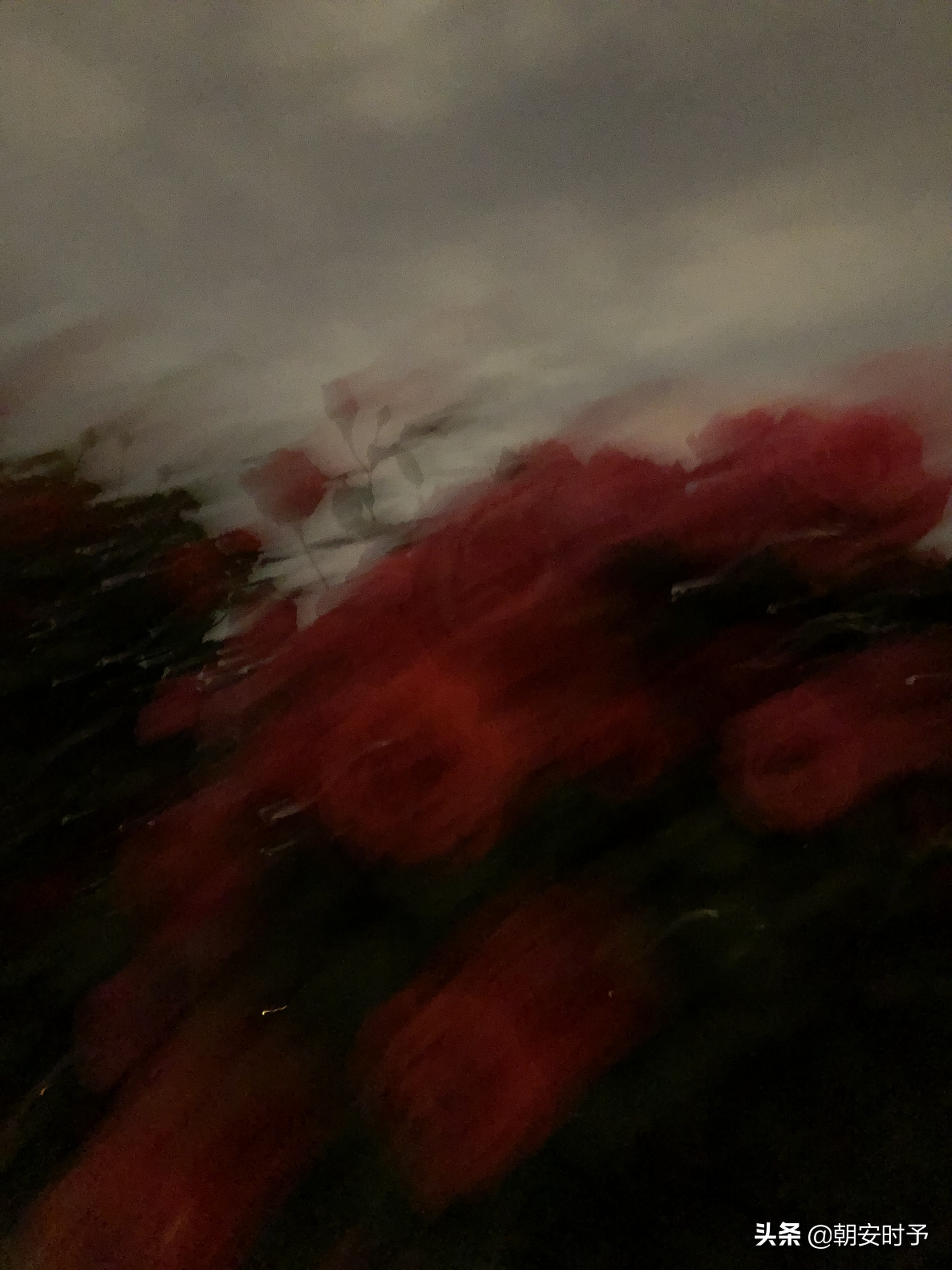 疫情中的武汉美景,大好河山武汉市