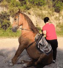 搞笑动图gif微信可爱表情包,搞笑动图gif图片微信