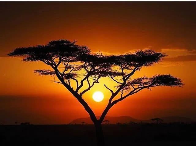 什么是非洲？这12处惊艳之地告诉你