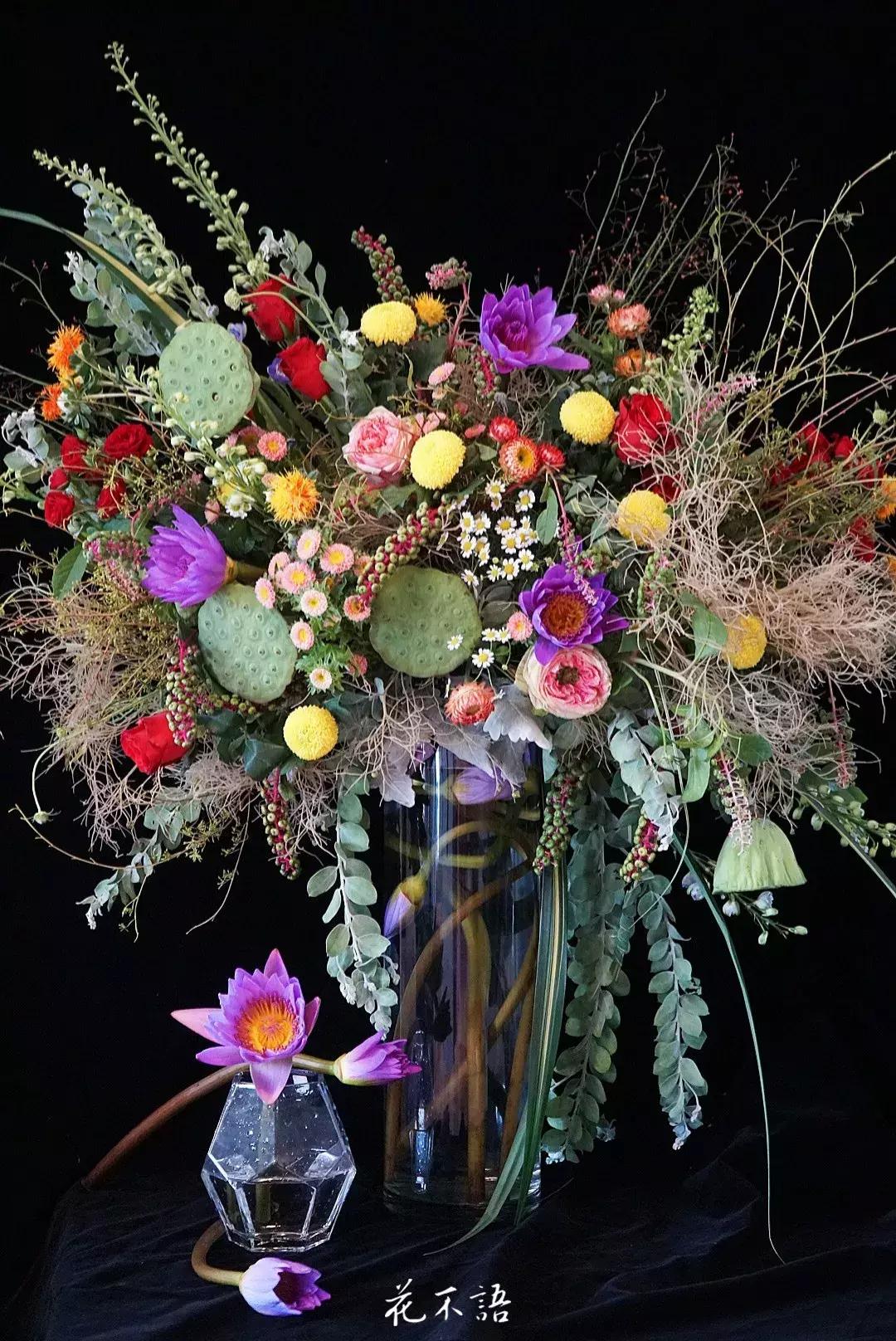 睡莲9月的养护,睡莲的养护方法文字