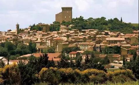 朱卫东葡萄酒教学视频,朱卫东葡萄酒的仪式感