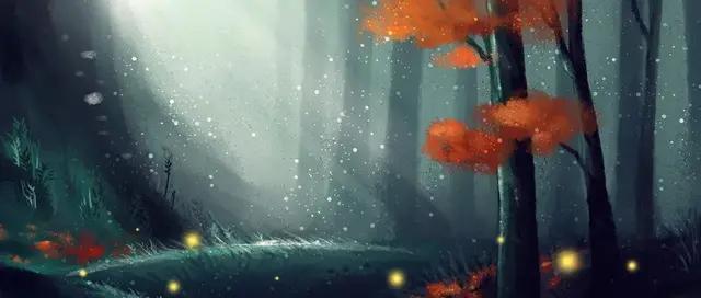 一碗忧伤的螺蛳粉,一碗螺蛳粉慰藉心灵