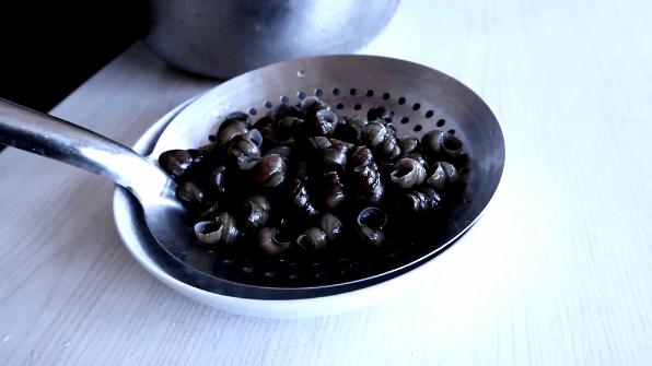 怎么分辨脆螺跟田螺,田螺和不能吃的螺的区别