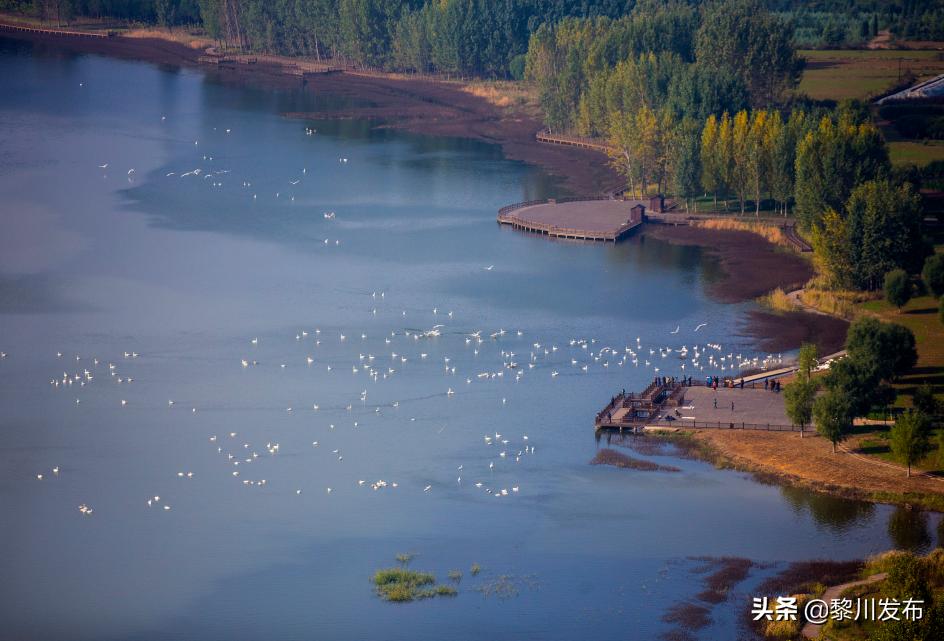 山西平陆县攻略,山西平陆旅游攻略