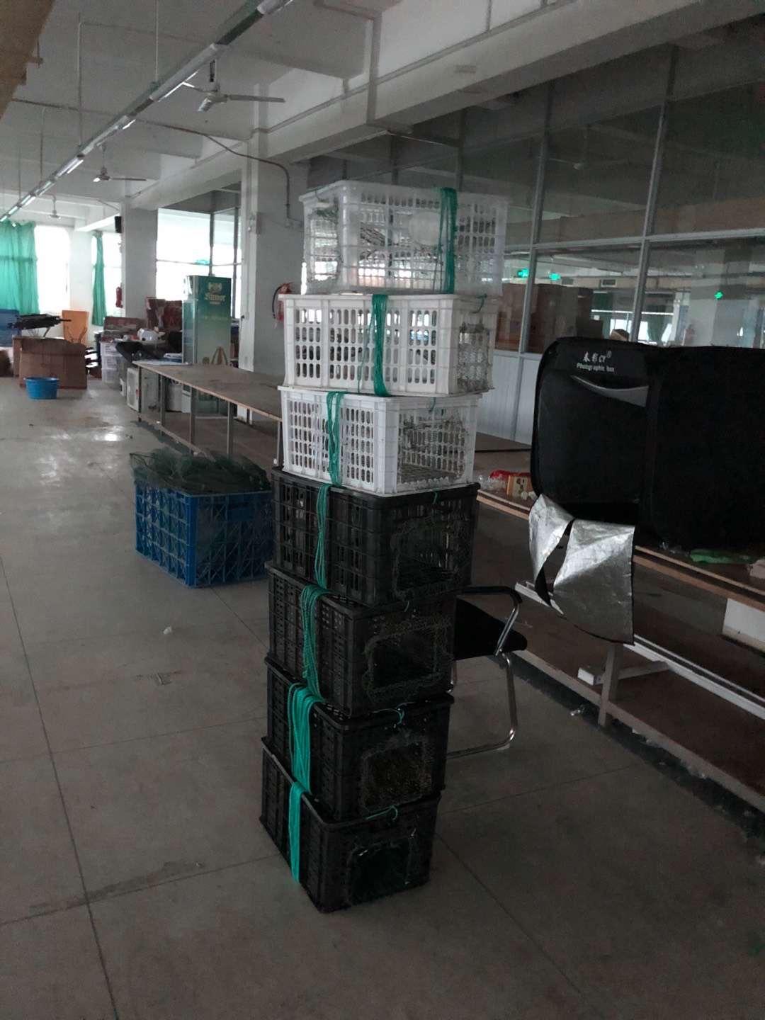 抓螃蟹的窝怎么做,螃蟹笼抓螃蟹