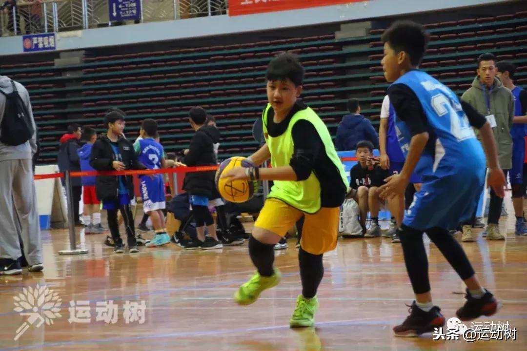 中国篮球名宿走进学校,中国篮球名宿26分