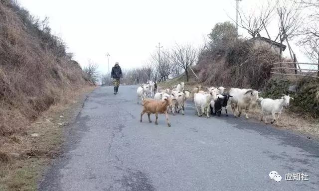 宁波踏青好去处自驾,宁波周边免费踏青爬山