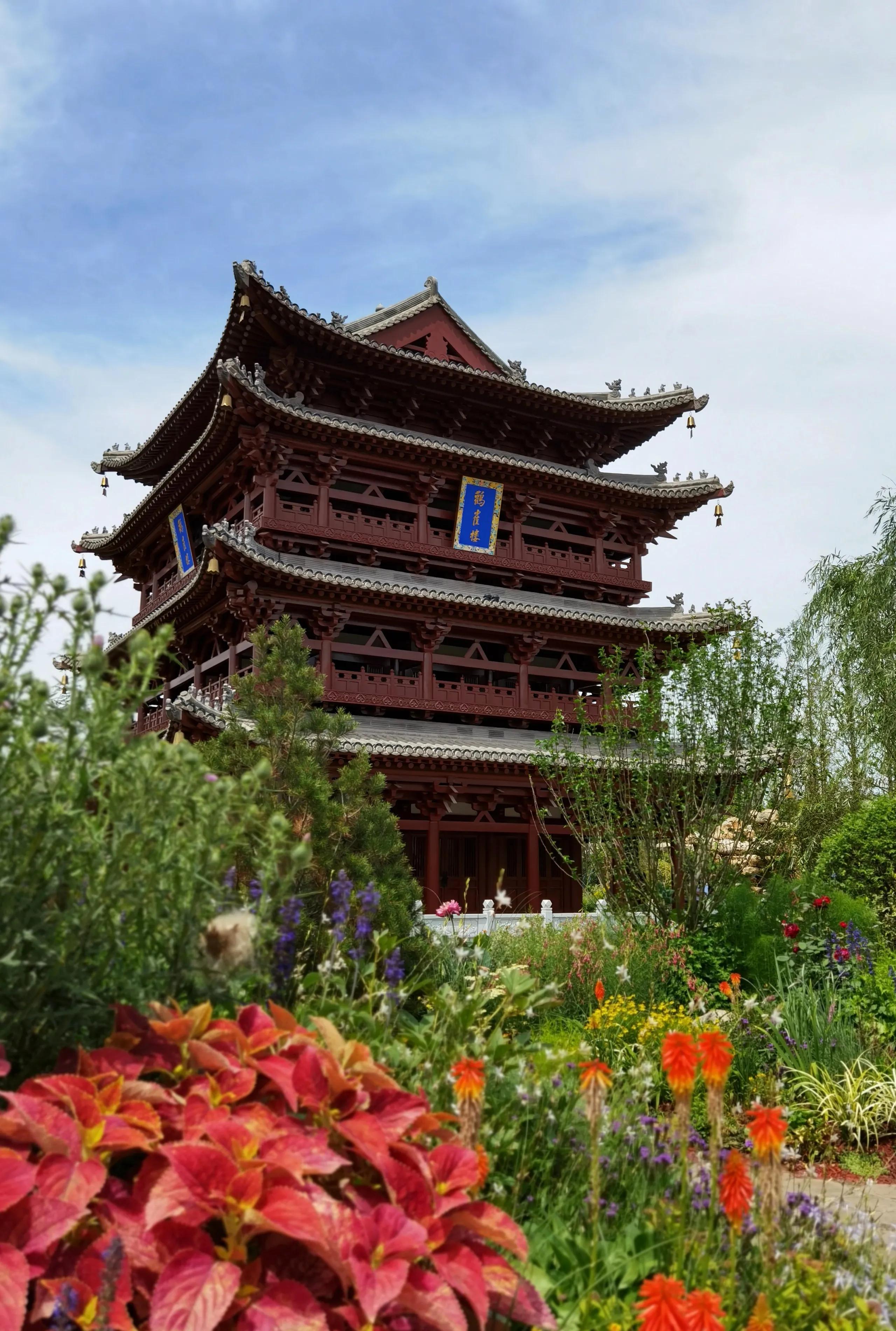 关于崇明花博会,崇明花博会全程花景