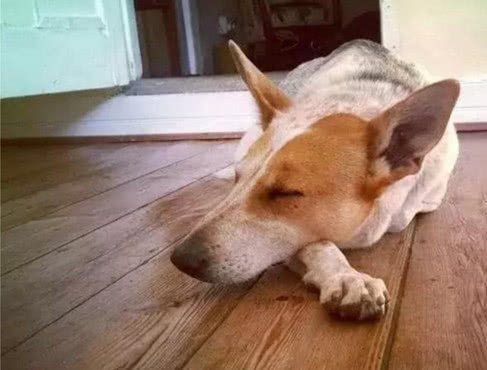 鐢蜂汉鐢ㄦ毚鍔涢┍璧舵祦娴嫍,涓轰粈涔堜繚瀹夎鎶婂悇绉嶆祦娴嫍鎵撴