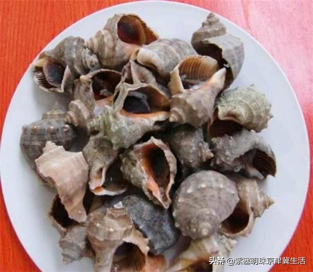 韩姐在乐亭农家最新视频,唐山乐亭韩姐农家院电话