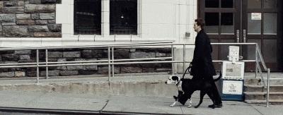 运动鞋涂凡士林,运动鞋上油