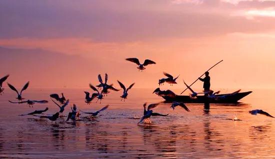 河南传统面食糕点,河南地方的特色面食有多少种呢