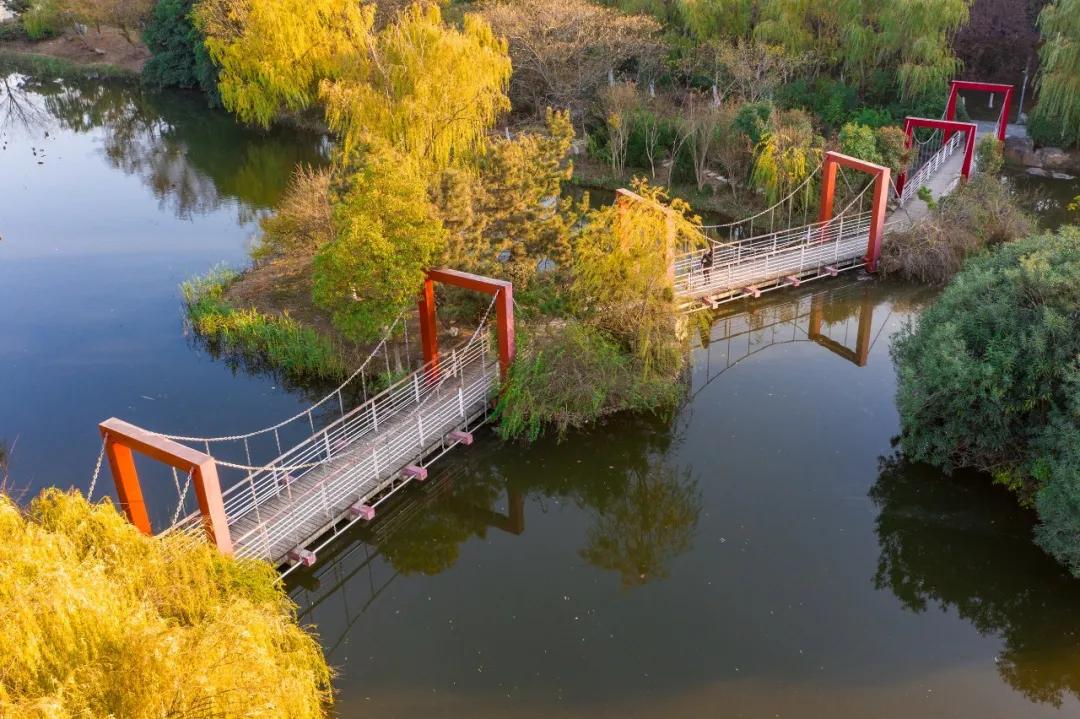 安徽省合肥市天鹅湖,安徽合肥的天鹅湖