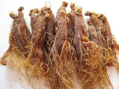 人参大补元气什么意思,人参补元气最佳方法