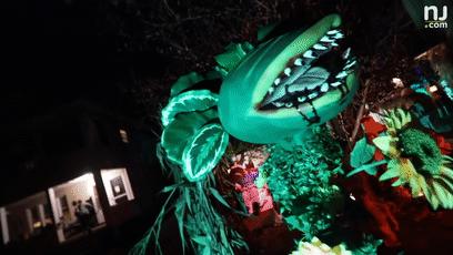 为过万圣节把房子改成鬼屋吓坏数千人，幸好我和这个老哥不是邻居