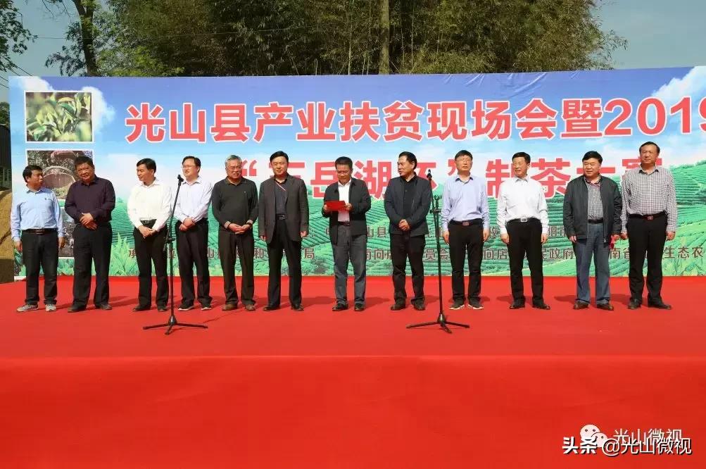 光山斗茶大赛完整版,信阳斗茶大赛获奖