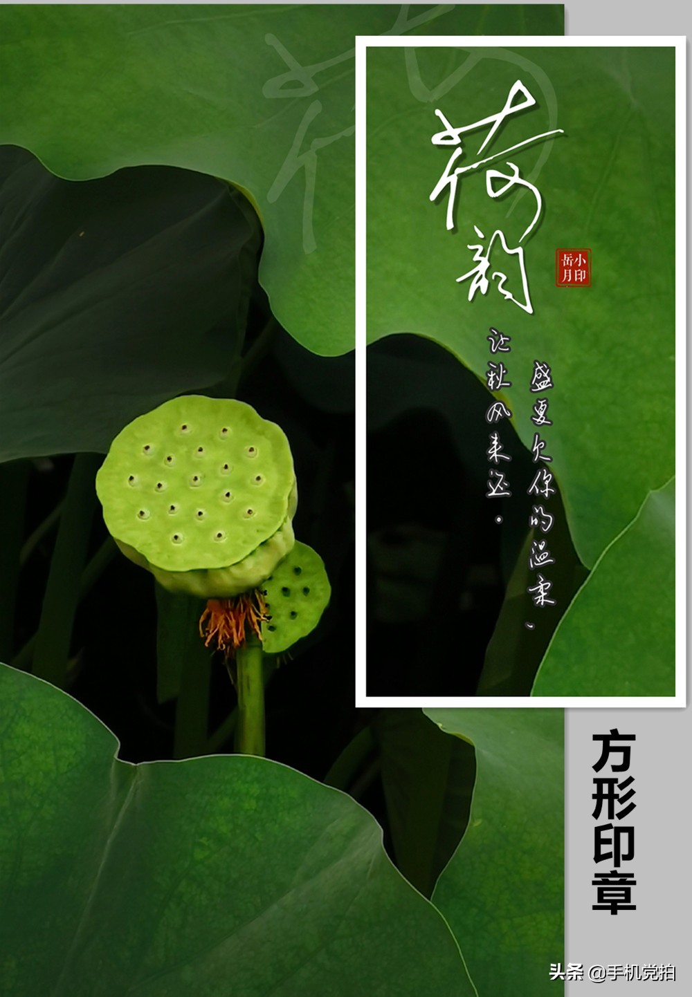 用照片做印章,用图片做印章底板